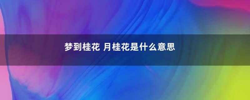 梦到桂花 月桂花是什么意思